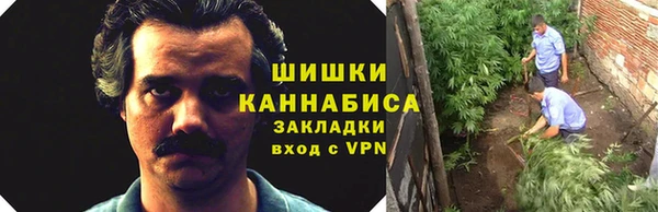 ALPHA PVP Баксан