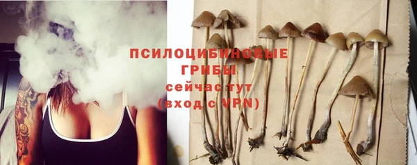 сатива Балахна
