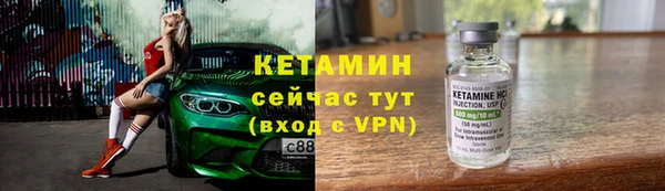 сатива Балахна