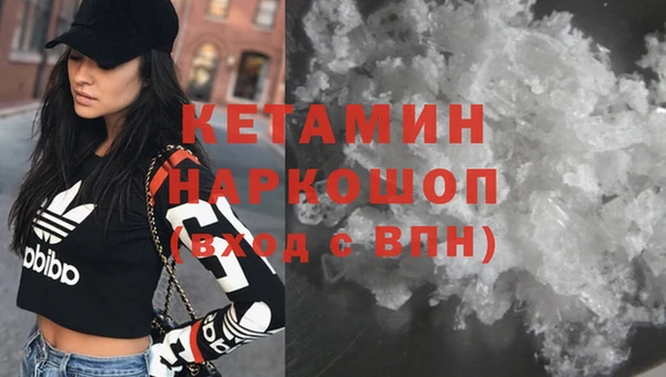 сатива Балахна